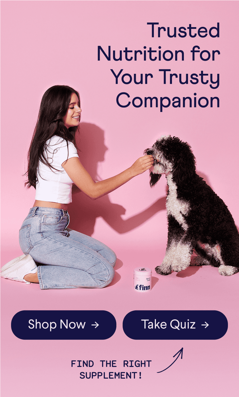 Trusted Nutrition for Your Trusty Companion